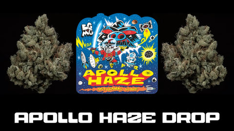 Apollo Haze - A Brand New Artisanal Drop!