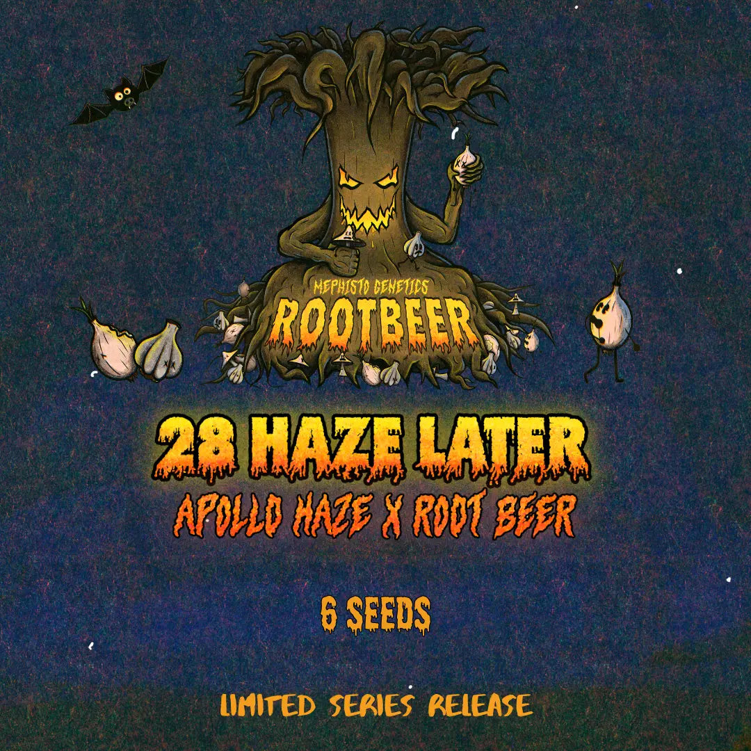 28 Haze Later