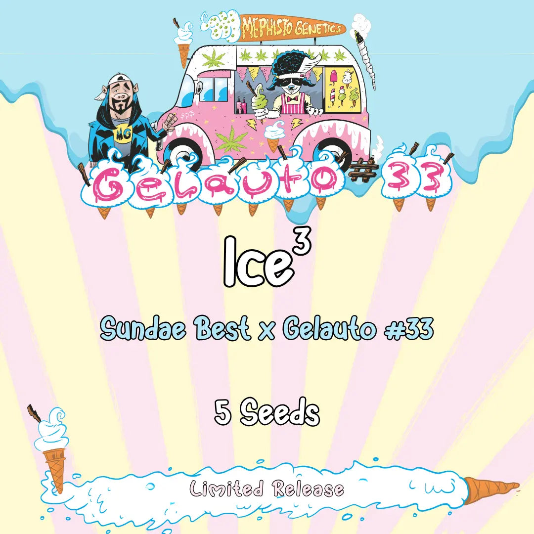 Ice³