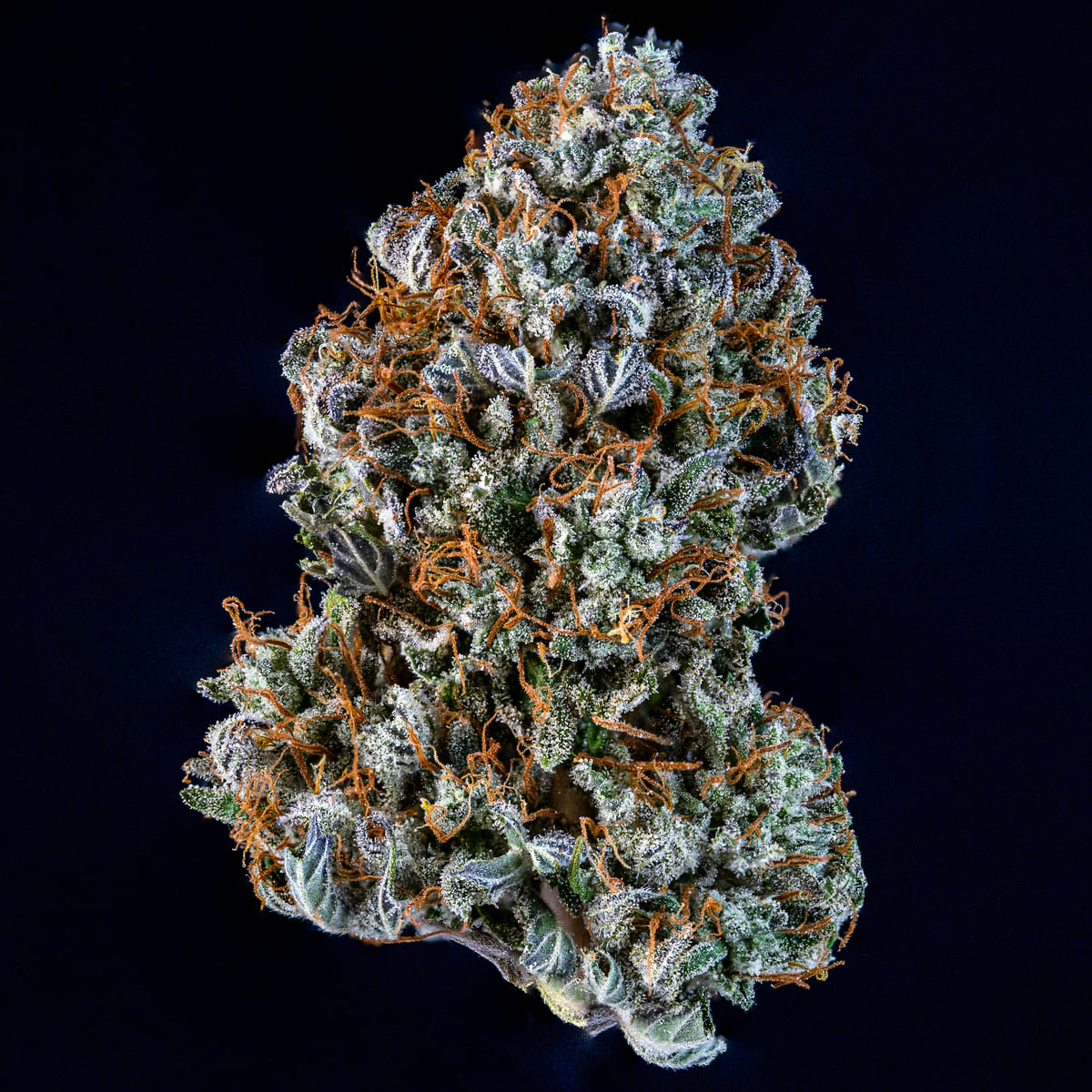 Creme de la Chem