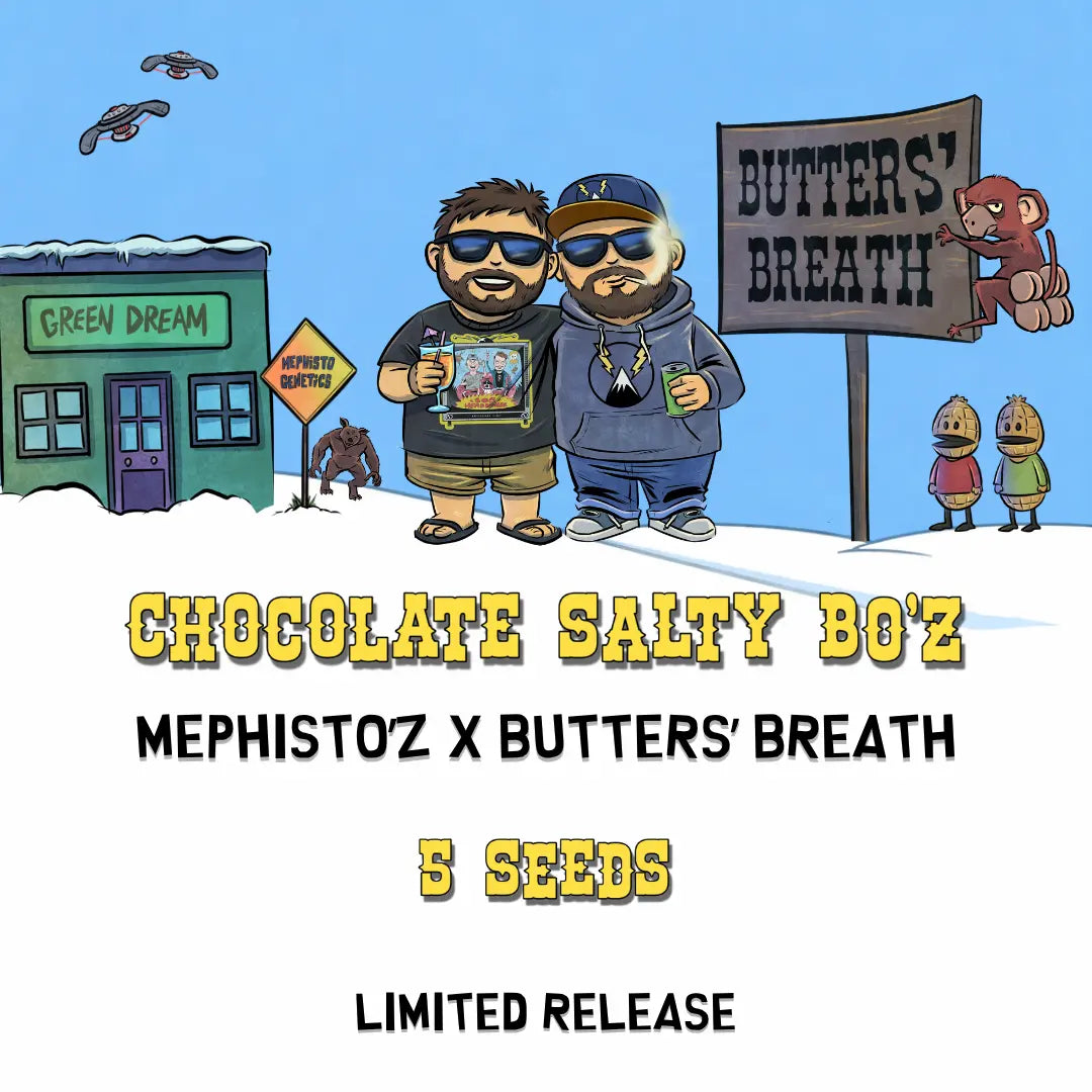 Chocolate Salty Bo'z