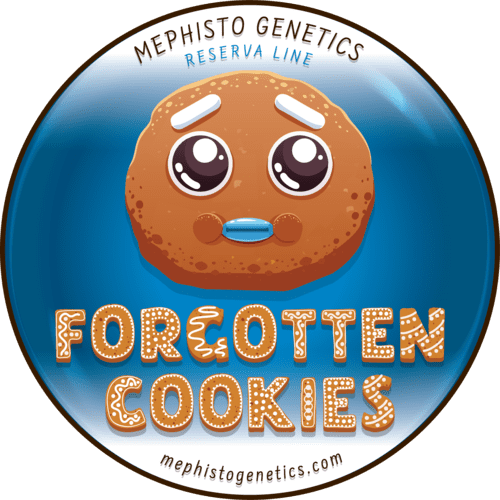 Forgotten Cookies