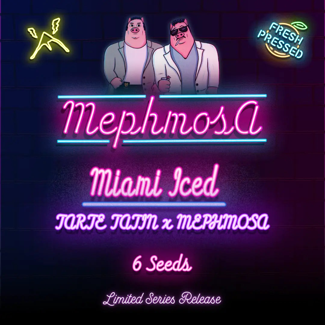 Miami Iced