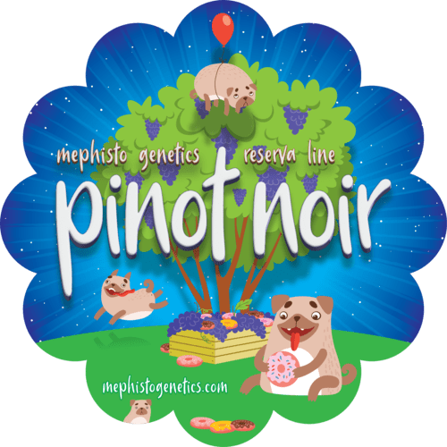 Pinot Noir