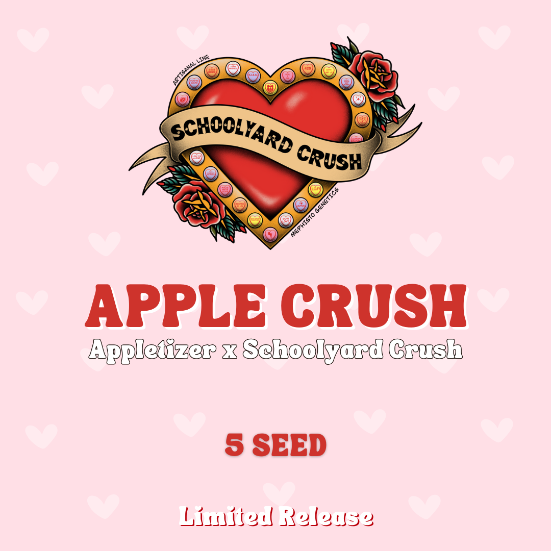 Apple Crush