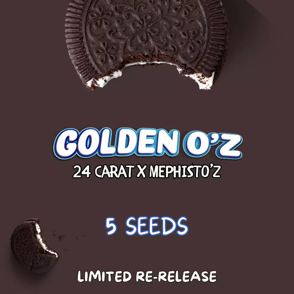 Golden O'z – Mephisto Genetics