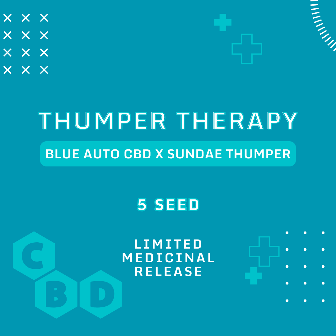 Thumper Therapy