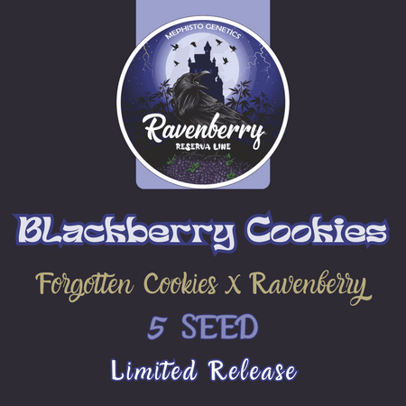 Blackberry Cookies