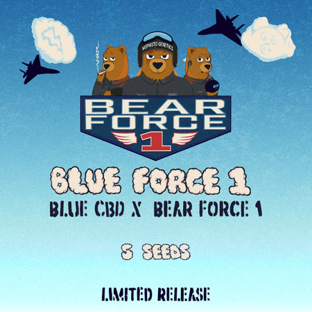 Blue Force 1
