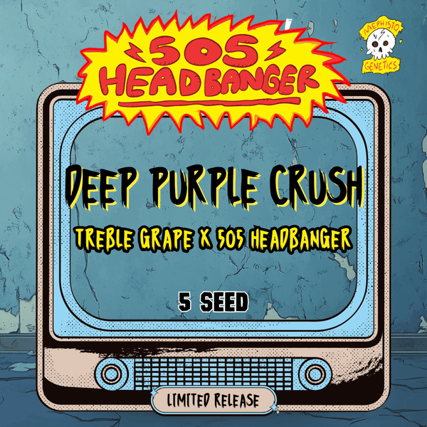 deep-purple-crush_grande.png?v