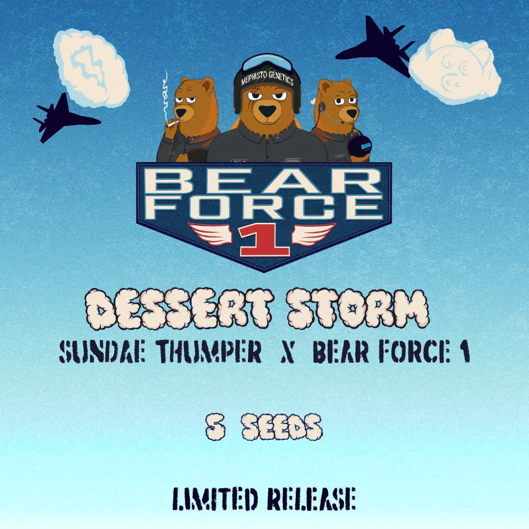 Dessert Storm