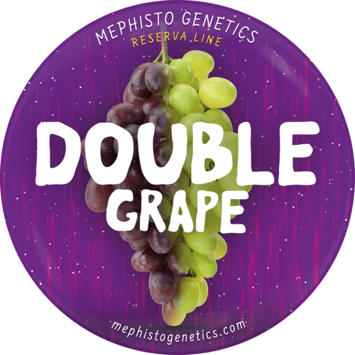 Double Grape