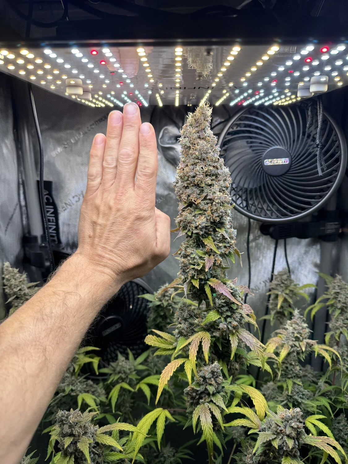 Customer Photo