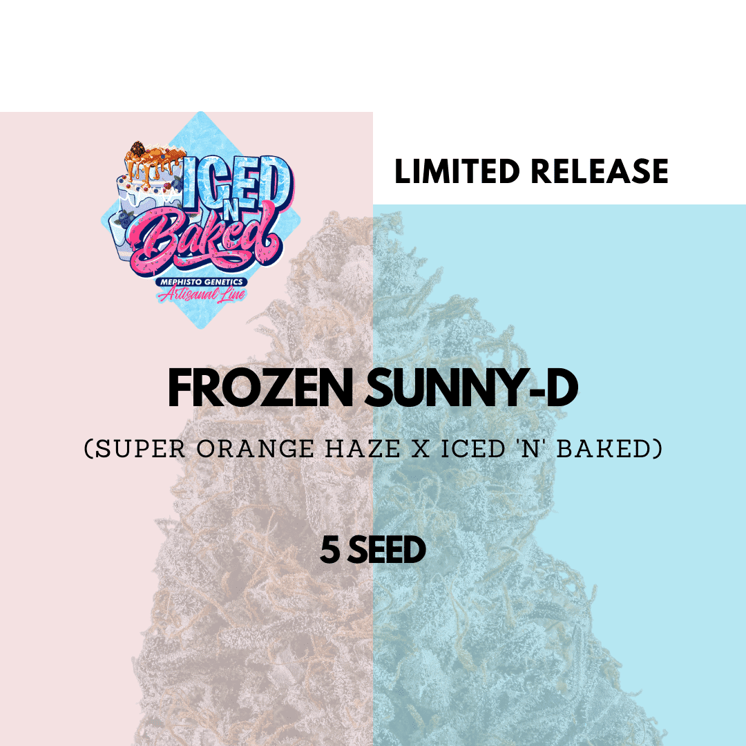 Frozen Sunny-D