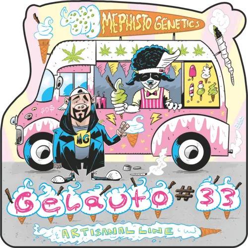 Gelauto N°33
