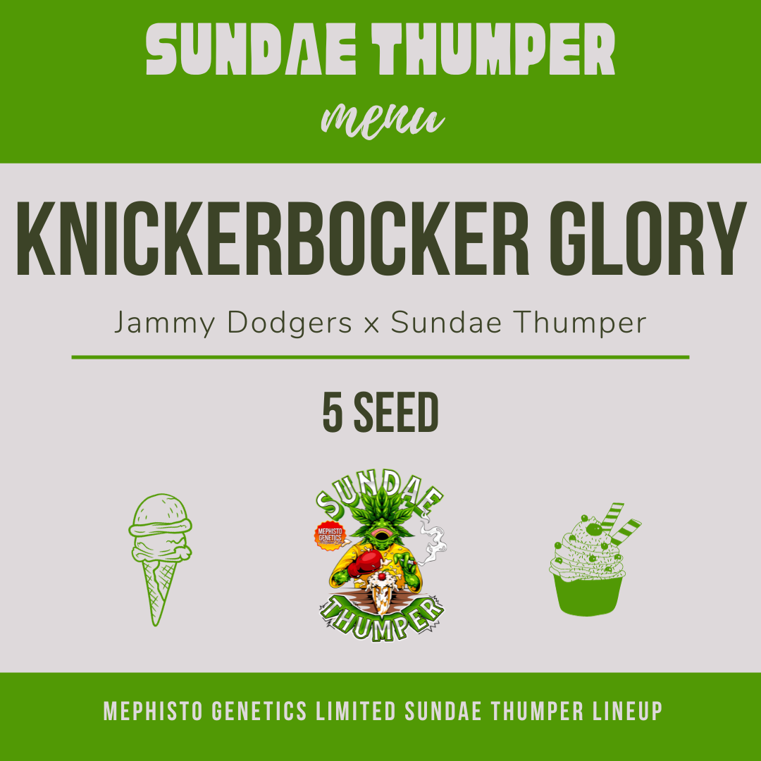 Knickerbocker Glory