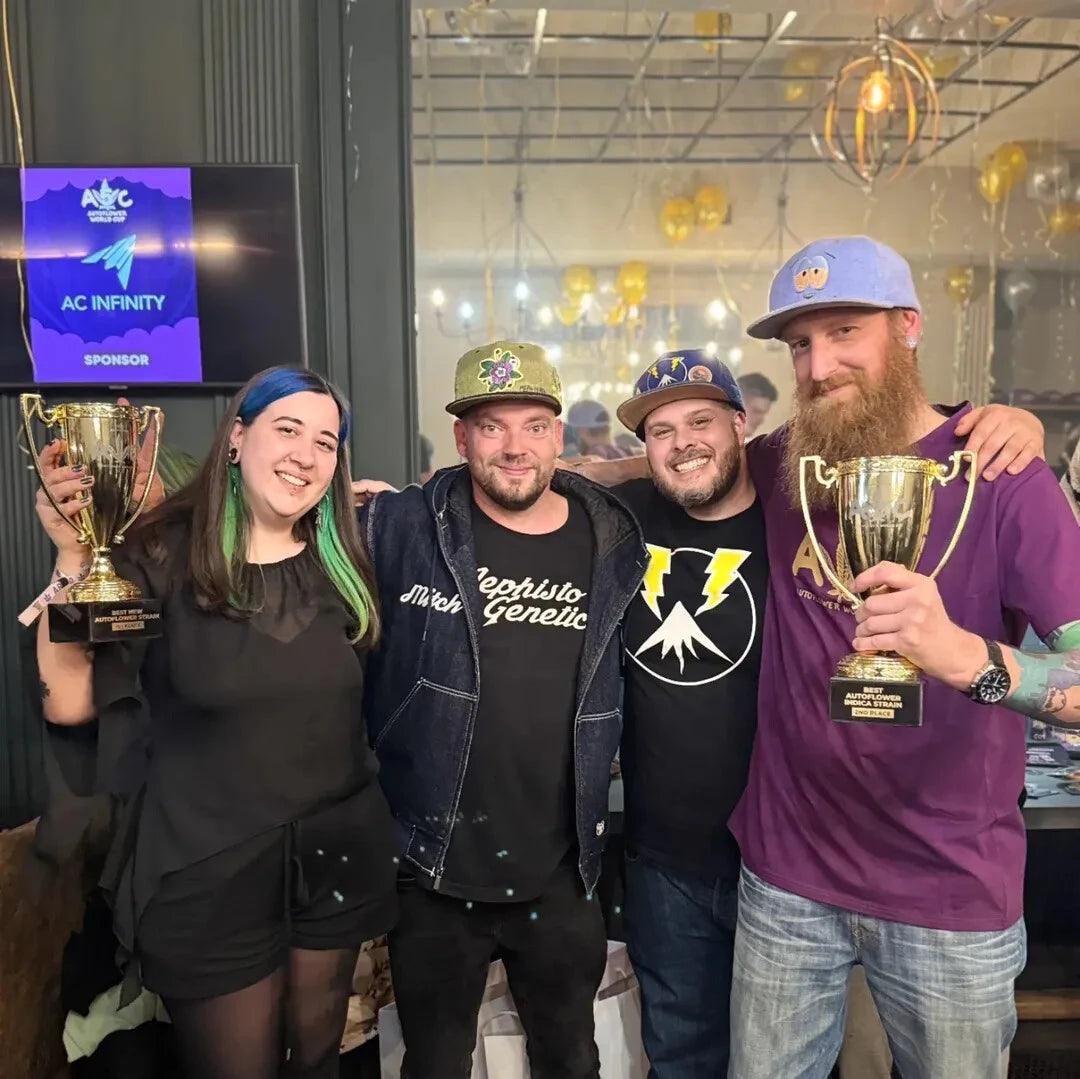 AWC Best New Autoflower Strain image 3