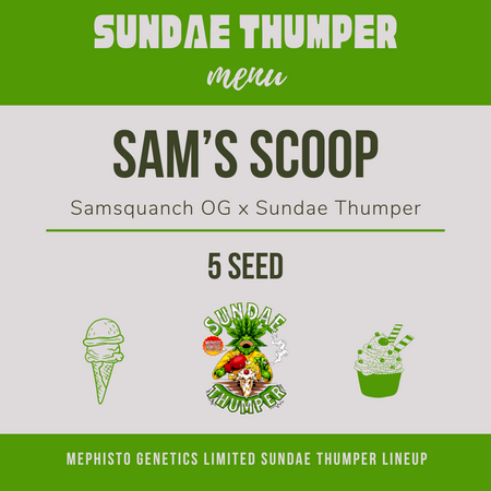 Sam's Scoop