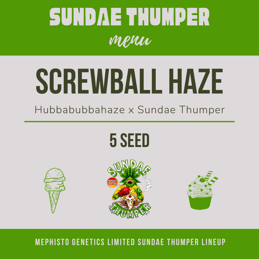 Screwball Haze