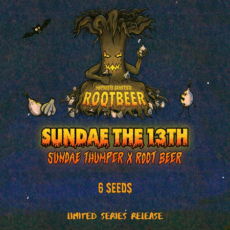 Sundae the 13th