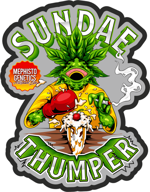 Sundae Thumper