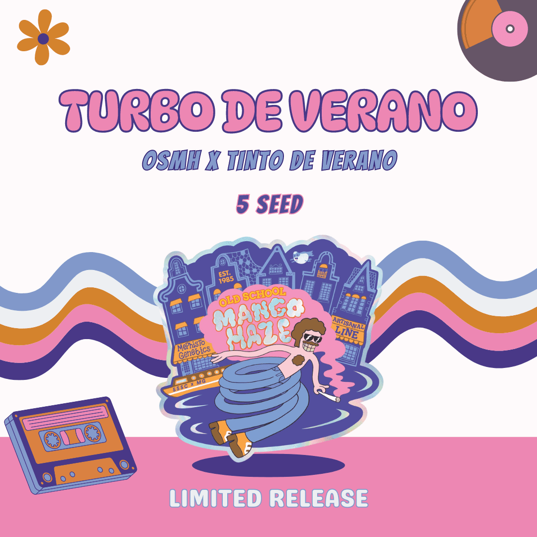 Turbo de Verano